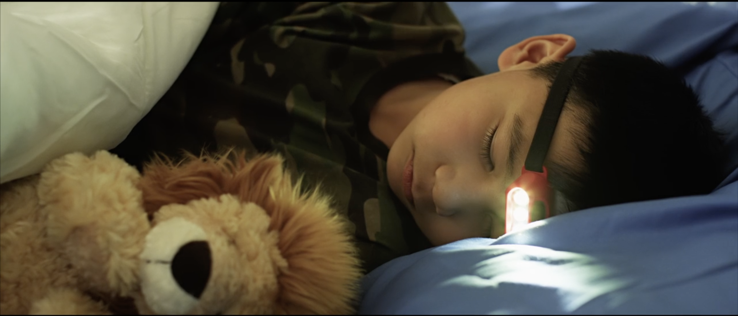 Screen Shot 2021-01-18 at 2.43.30 PM.png