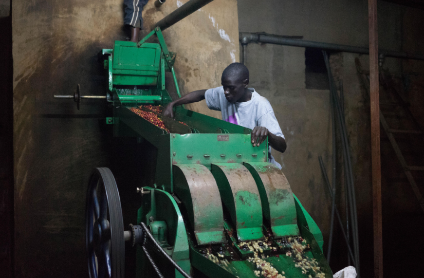 New Coffee: Burundi Buziraguhindwa