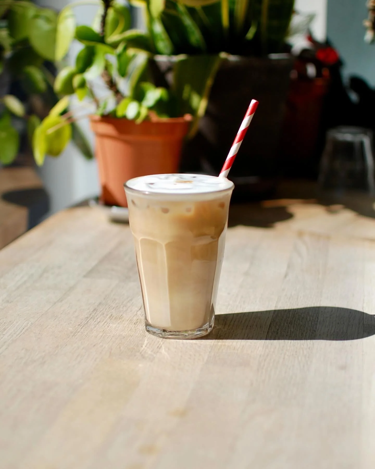 Iced coffee season - is it over?! 😢

#strangerscoffee #thirdwavecoffee #specialitycoffee #coffeeroastery