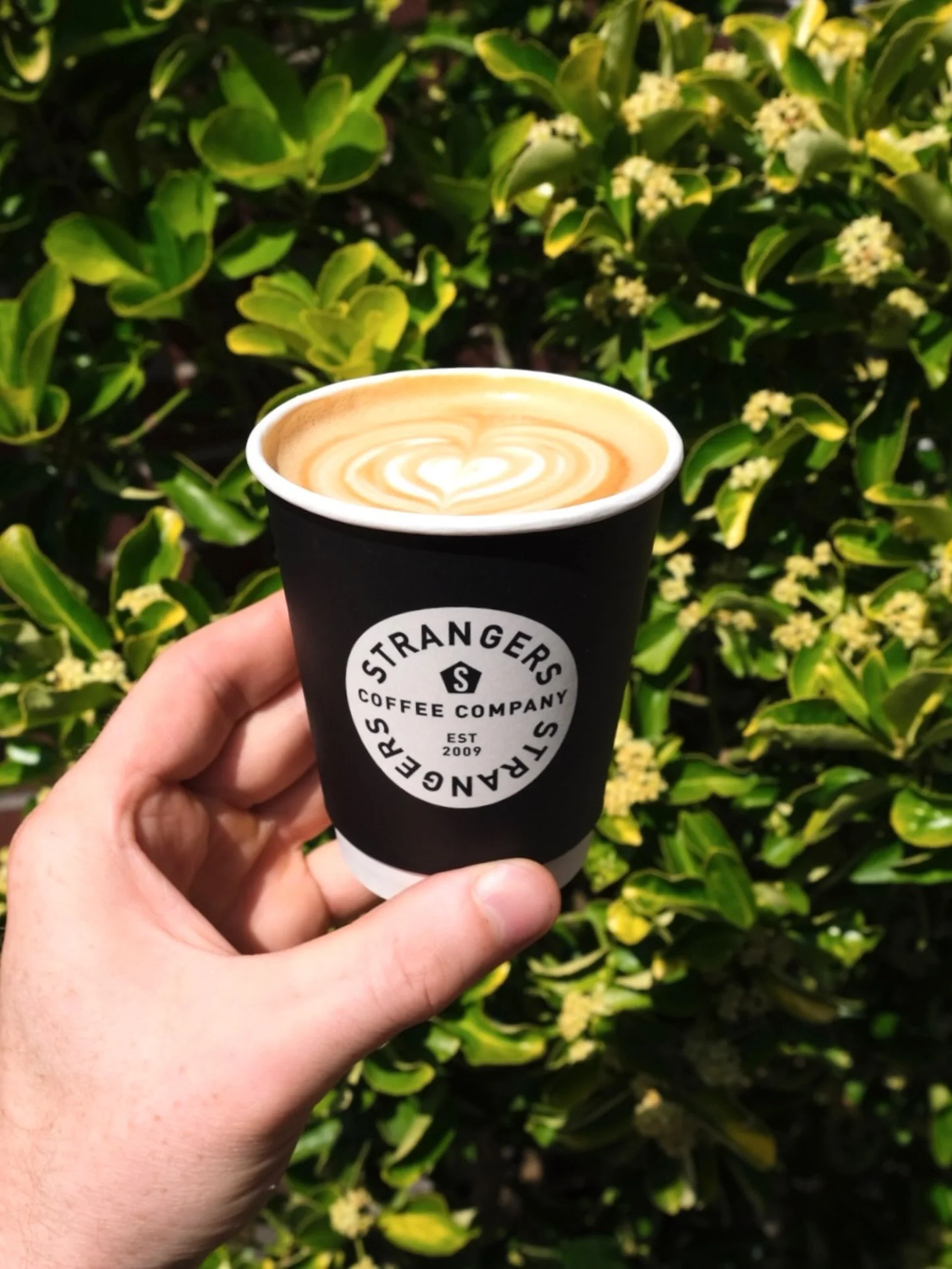 New cups, same coffee!

Thanks again to @brandemicuk for our new takeaway cups. The quality is second to none.

#strangerscoffee #specialitycoffee #thirdwavecoffee #norwichlanes buycoffeeonline