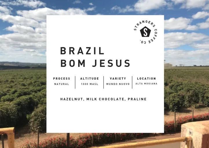 Brazil Fazenda Bom Jesus Natural