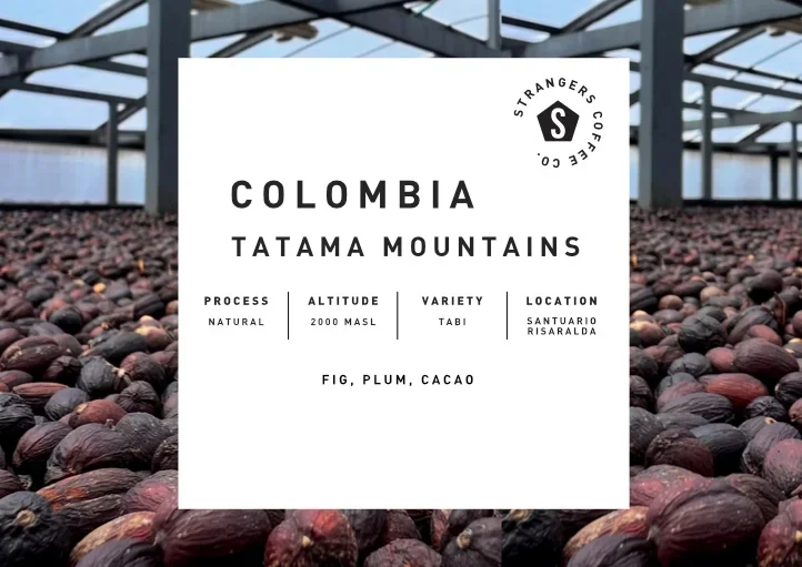 Colombia Tatama Mountains Natural