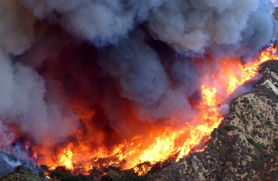 ca_wildfires_2017.jpg