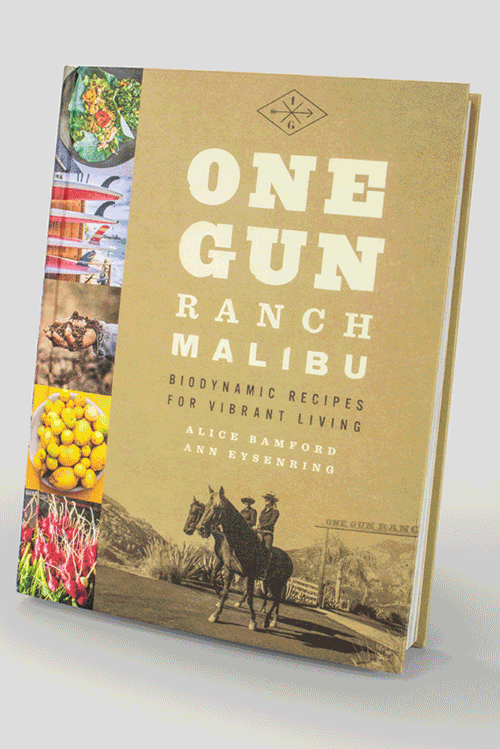 OneGunRanch_ANIM_LowRes_2a.gif