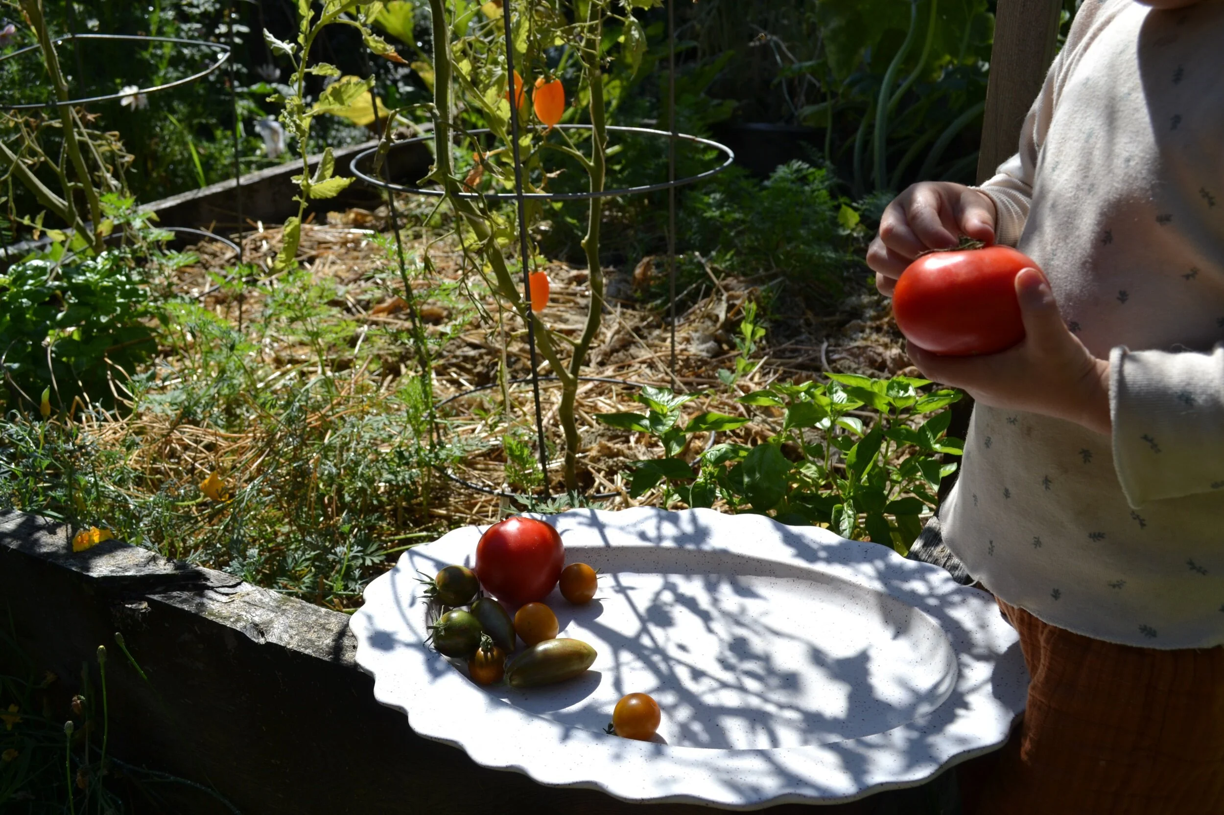 406D160C-9EB3-4C0B-B0B7-78A0B123ABC9