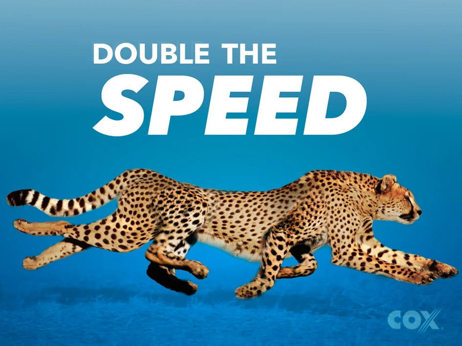 8 legged cheetah followed by attempts