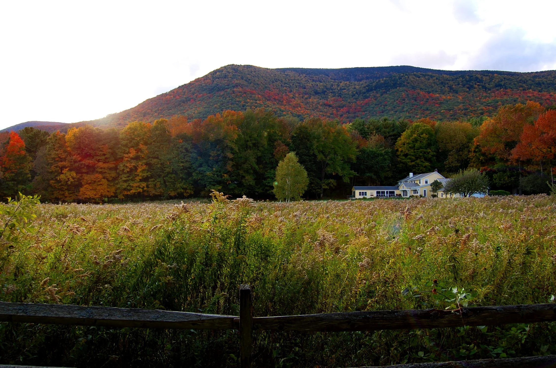 DSC_0037_forweb.jpg