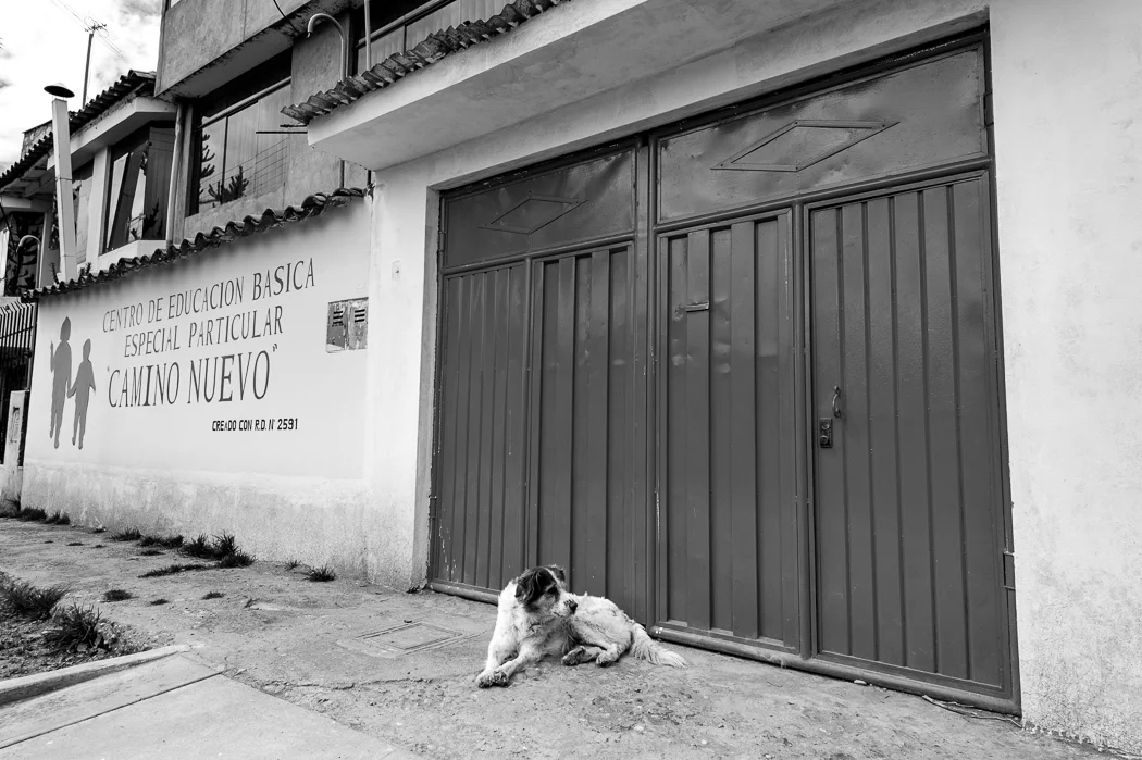 ManosUnidas_01.jpg