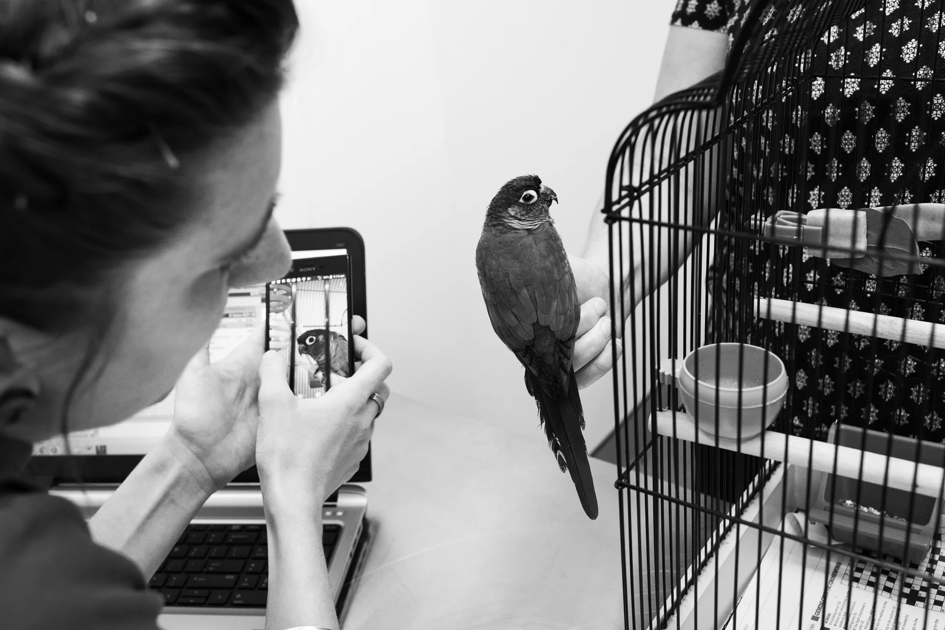 It's not unusual to see owner's like Marie Stove relate pet history and symptoms visually via devices. Her Conure, Peanut, needed a beak trim. 20 March, 2018.