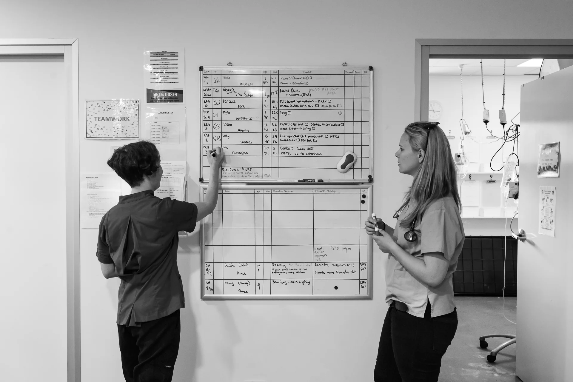 Dr Gwen Shirlow ( left ) and Head Nurse Stephanie Robertson assign veterinarians to hospital patients who can be in for surgeries, long-running tests or observations. 14 December, 2017.