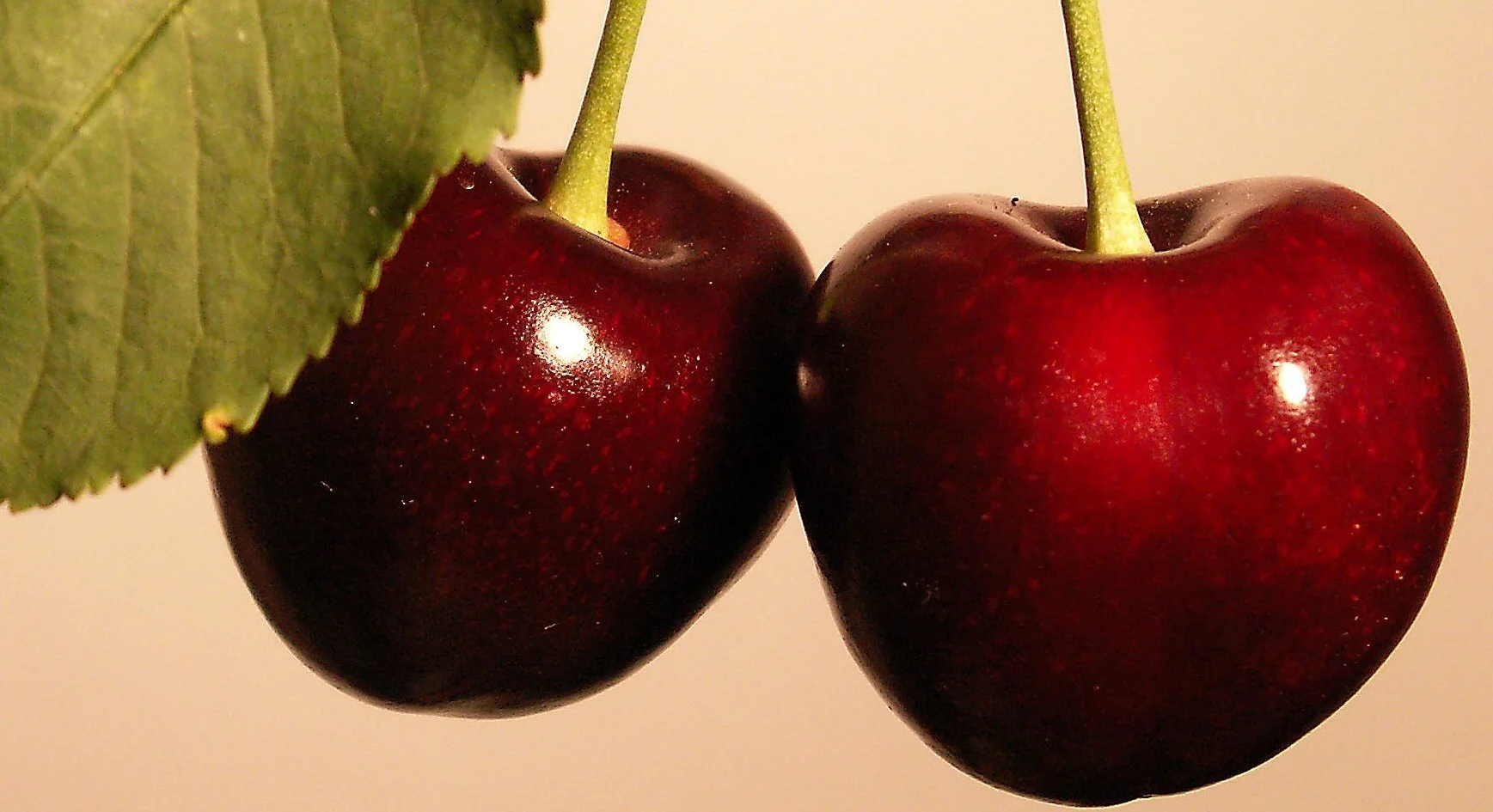 Cherry Picture_edited ss.JPG
