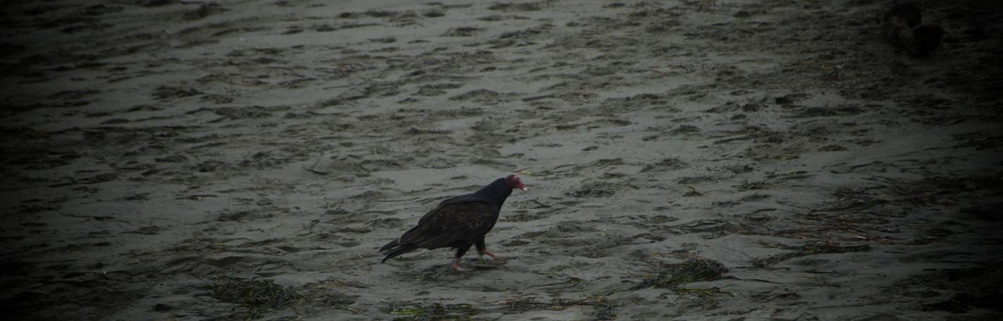 DSC_4963.jpg