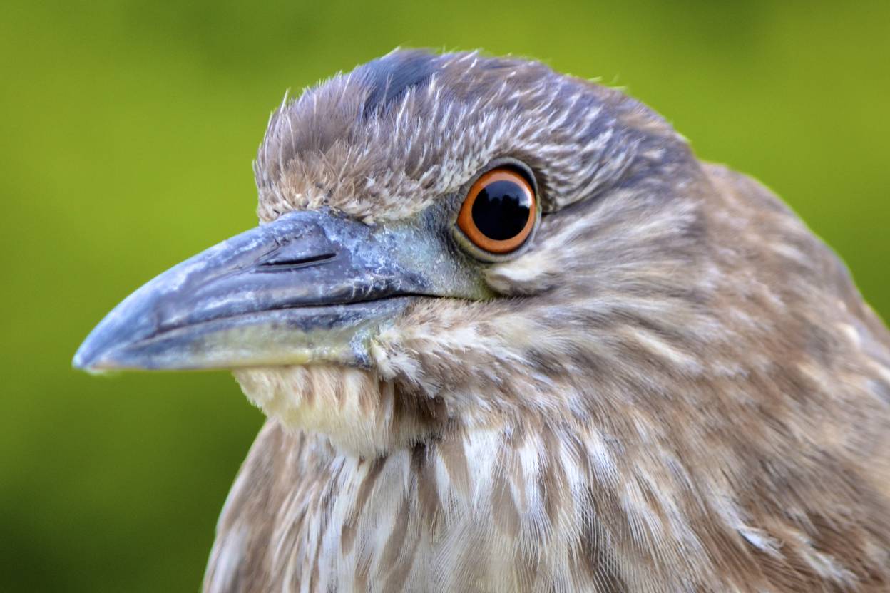 DSC_3080.jpg