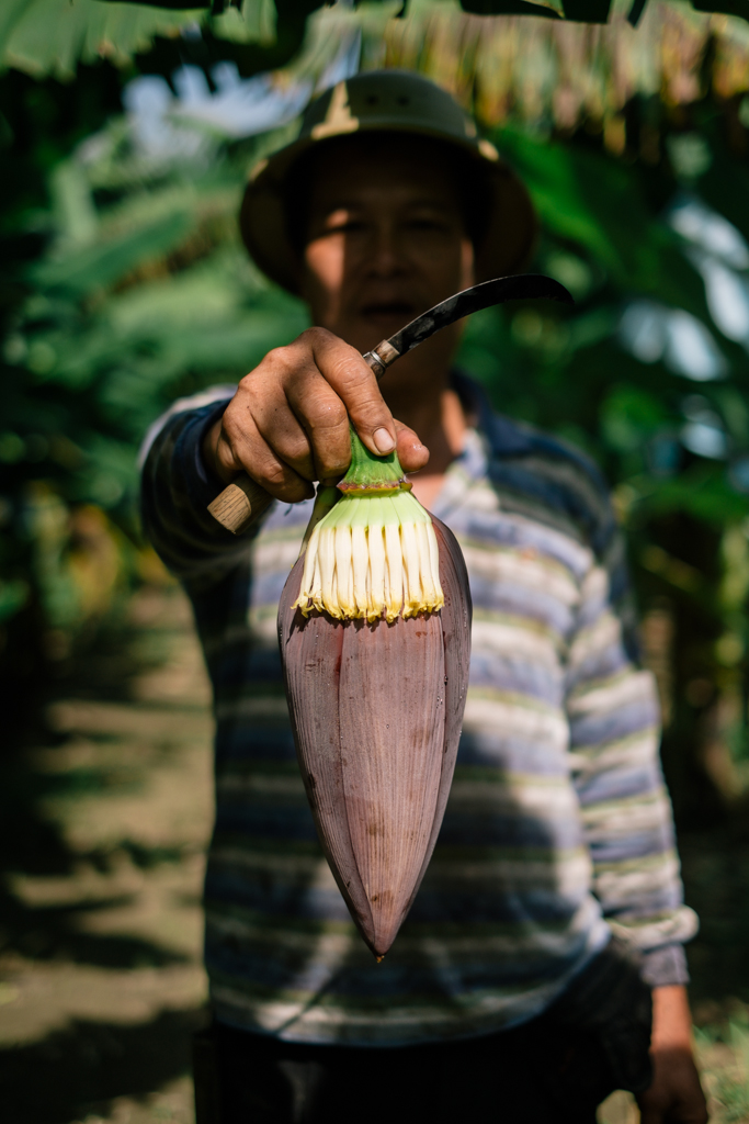   New York Times August 2013   he Taiwan banana industry  