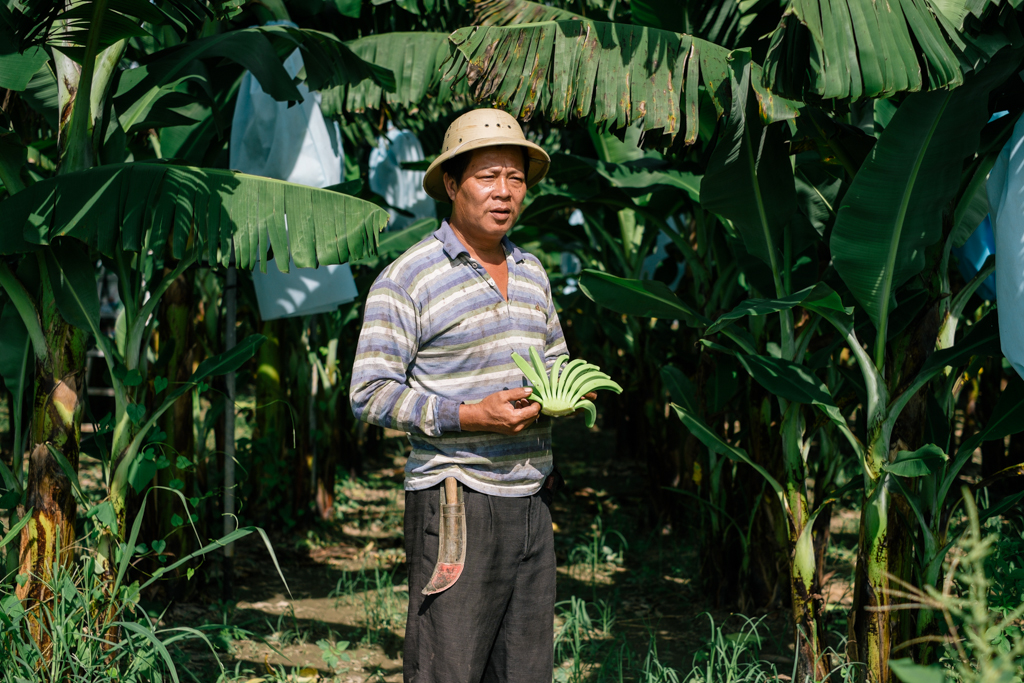  New York Times August 2013 The Taiwan banana industry 