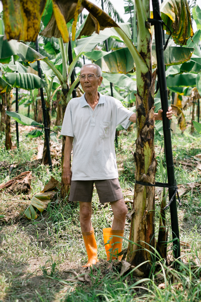   New York Times August 2013   he Taiwan banana industry  