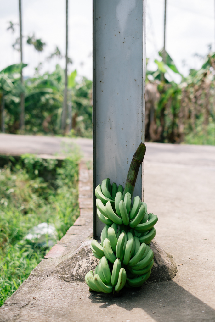   New York Times August 2013   he Taiwan banana industry  