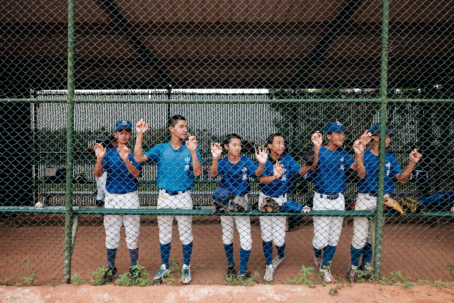  The New York Times October 2016 The Taiwan Baseball Scandal 