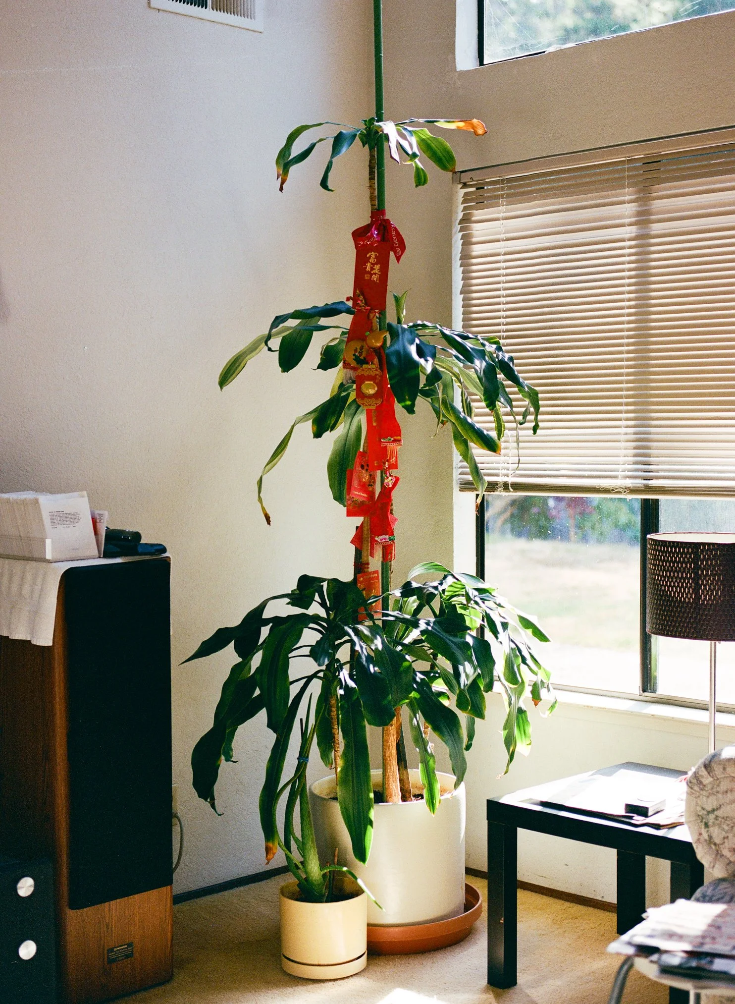 SML_240724_645_0016.jpg