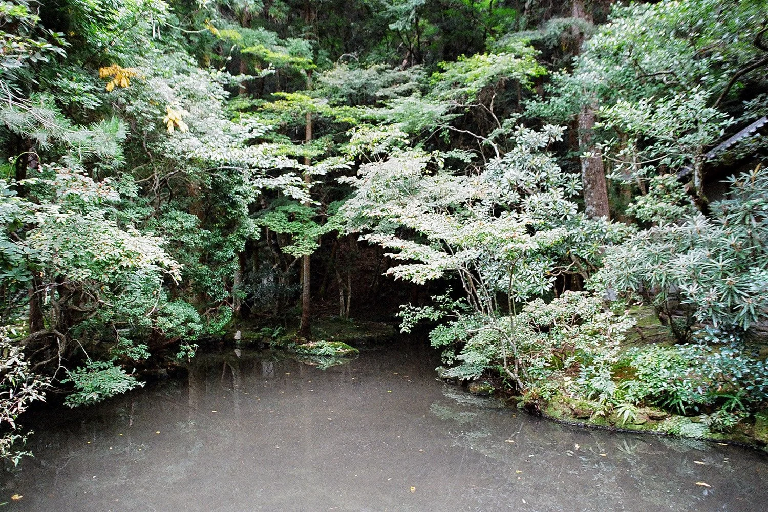 72610014.jpg
