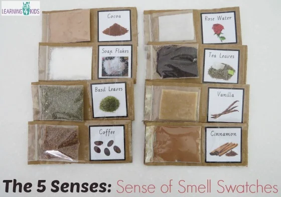 Sensory - Sense-of-Smell.jpg