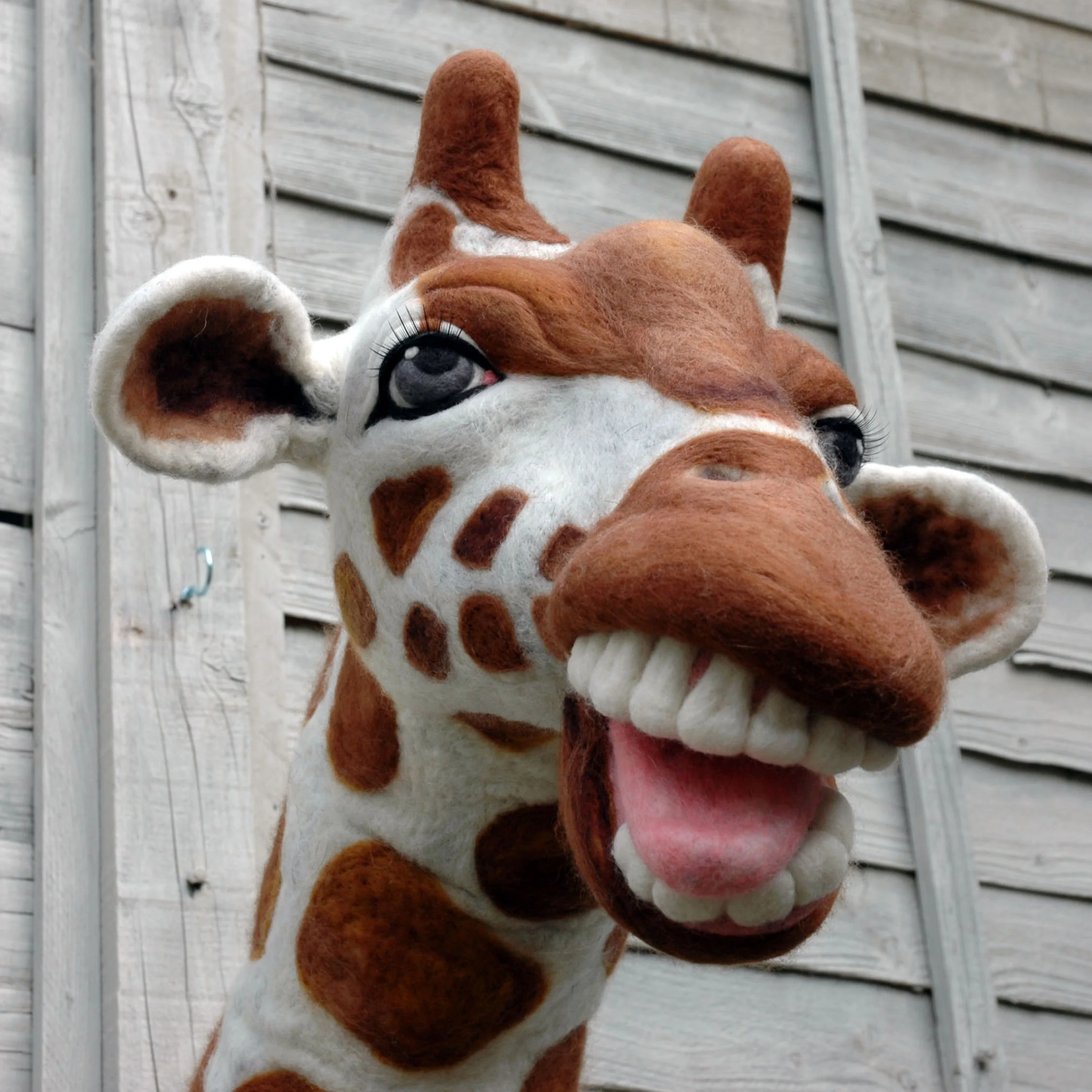 giraffe left side profile2.jpg