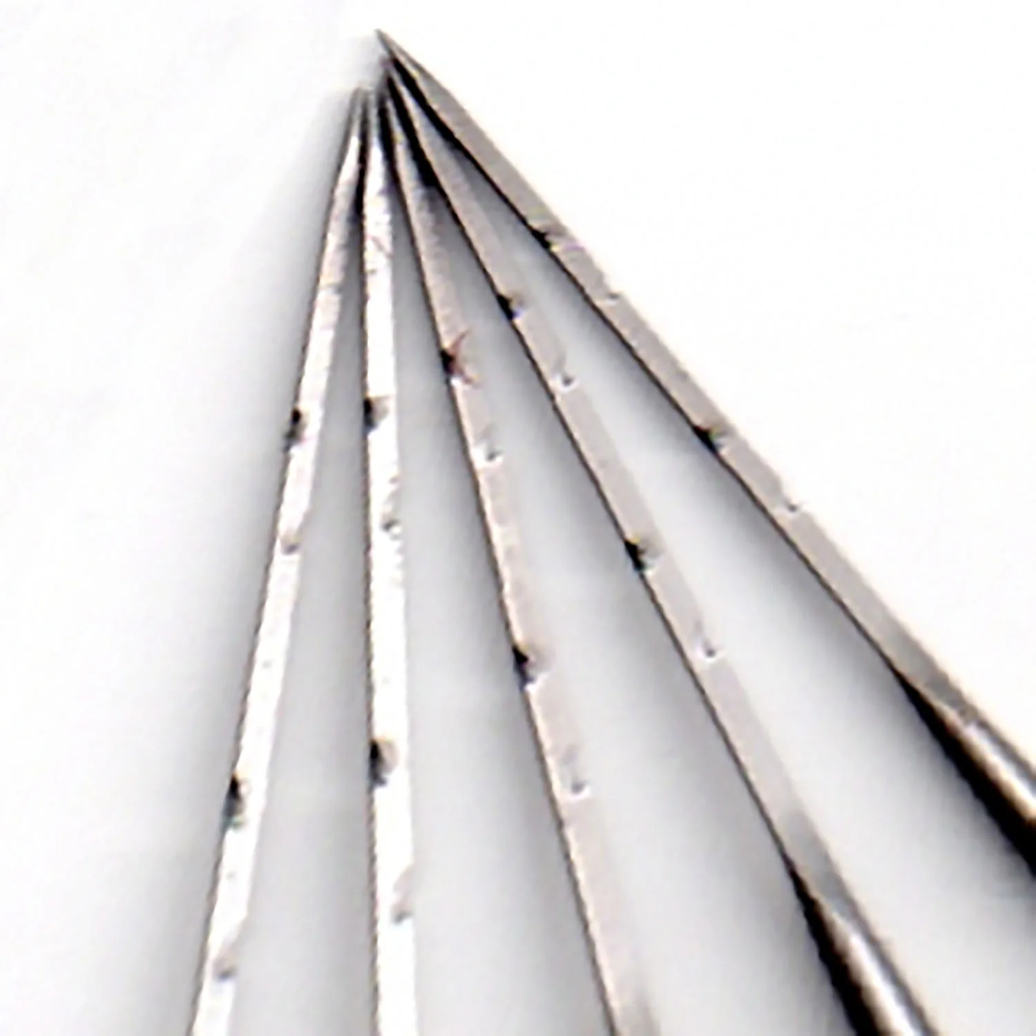 needles closeup.jpg