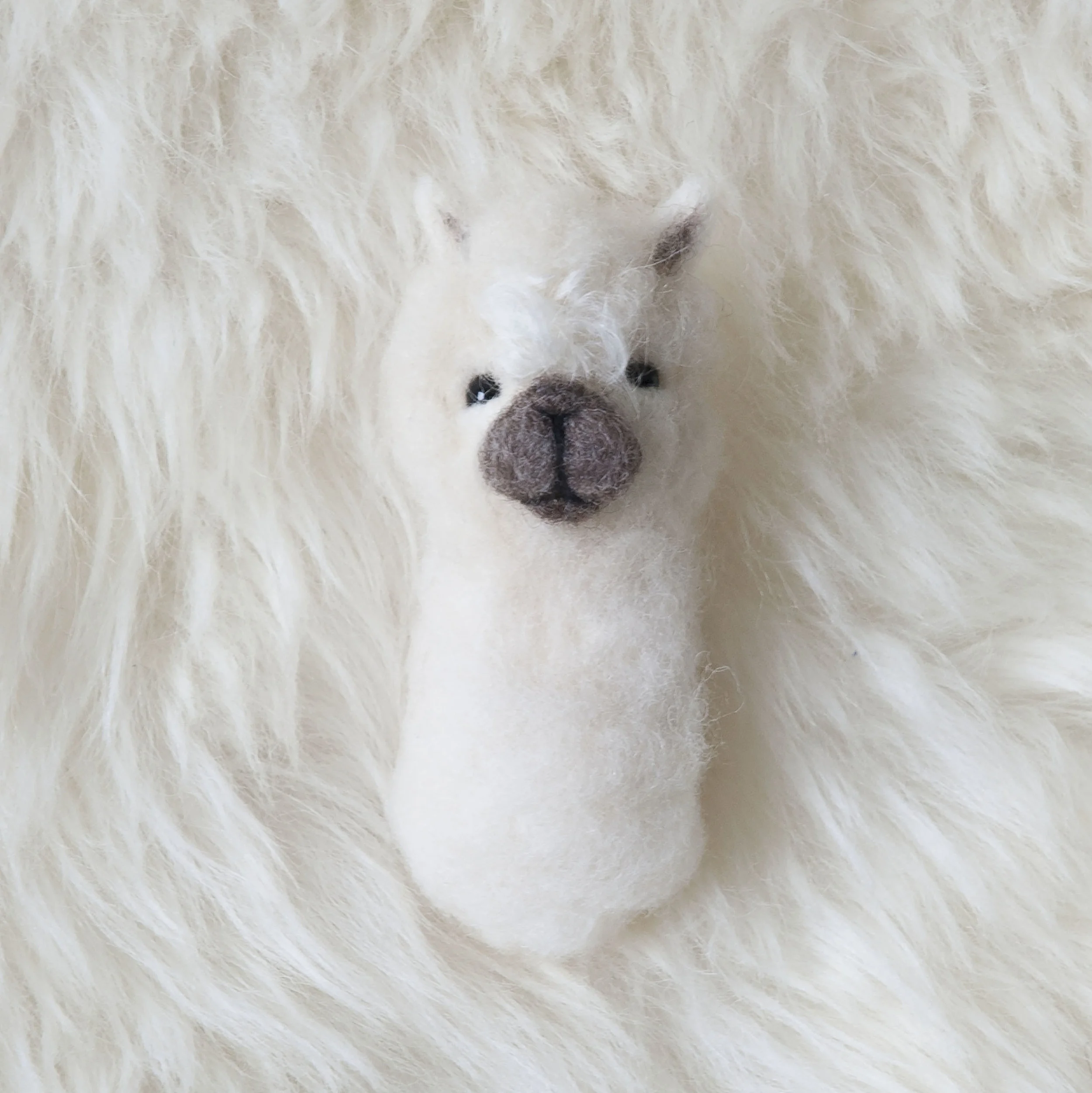 Needle felted baby alpaca brooch pin 1.jpg