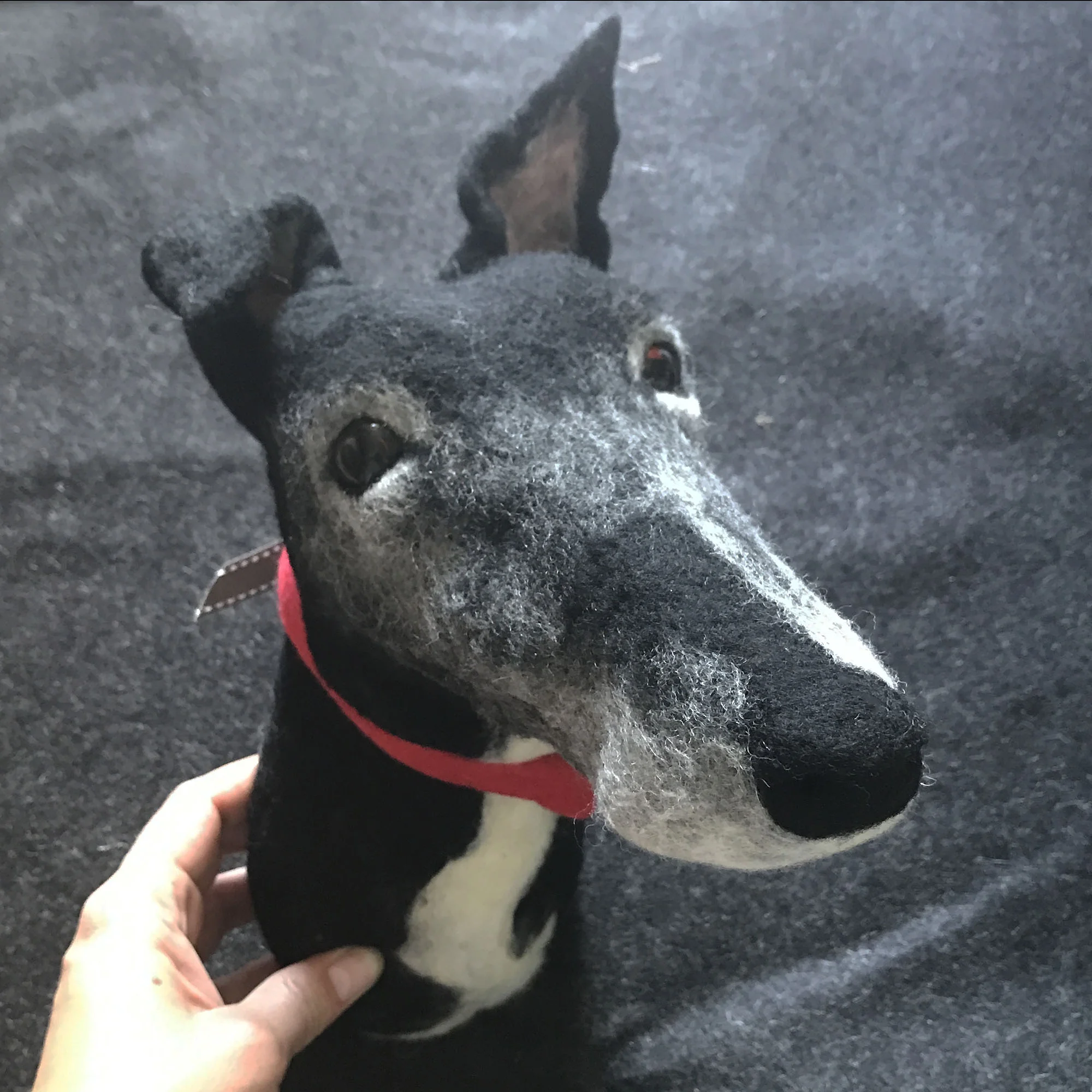 Dog head 8.jpg