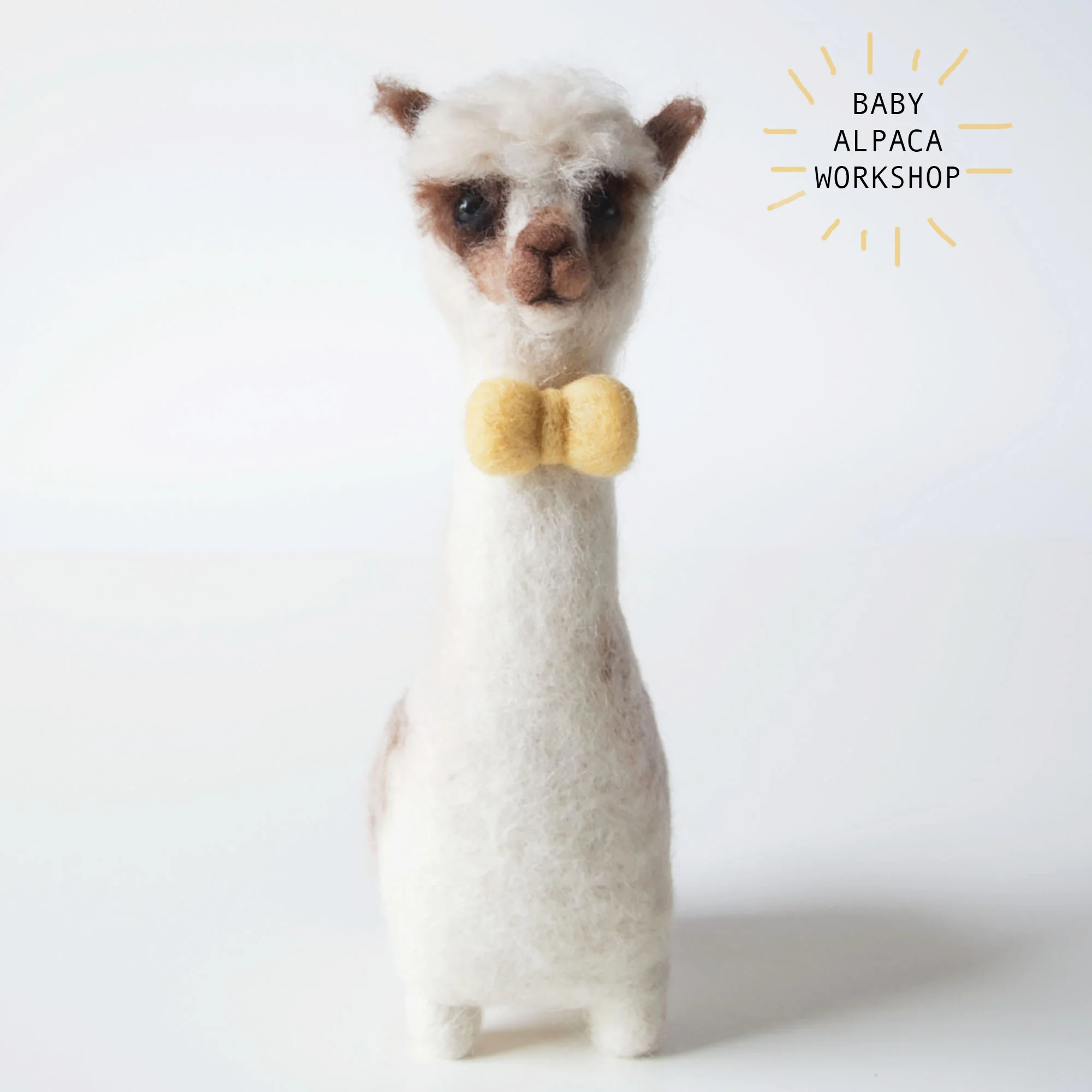 Baby Alpaca Needle Felting workshop 1.jpg