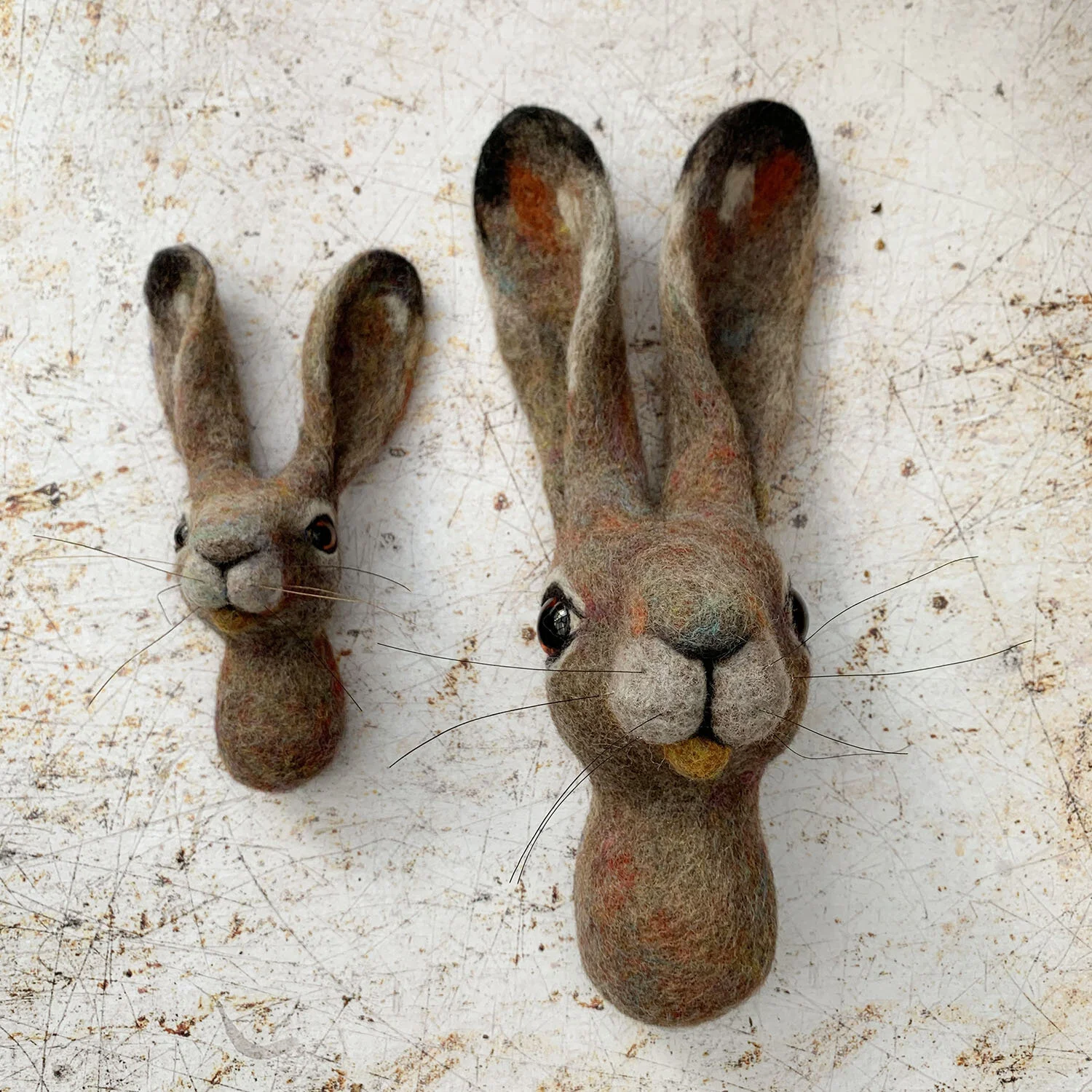 needle felted hare in rainbow colours / wall sculpture / fauxidermy