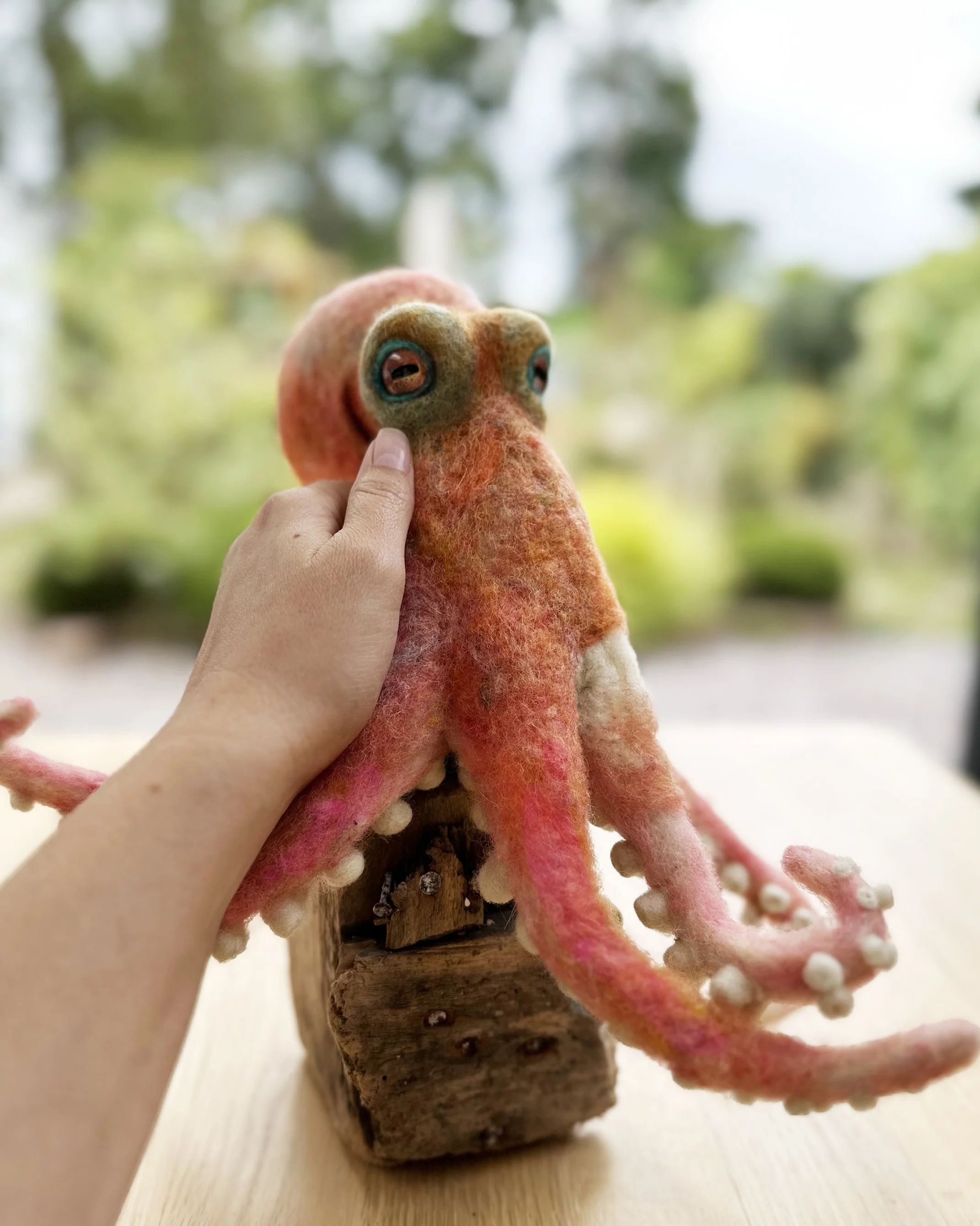 Needle Felting Workshop / Octopus on driftwood / 2 day intermediate workshop FULLY BOOKED