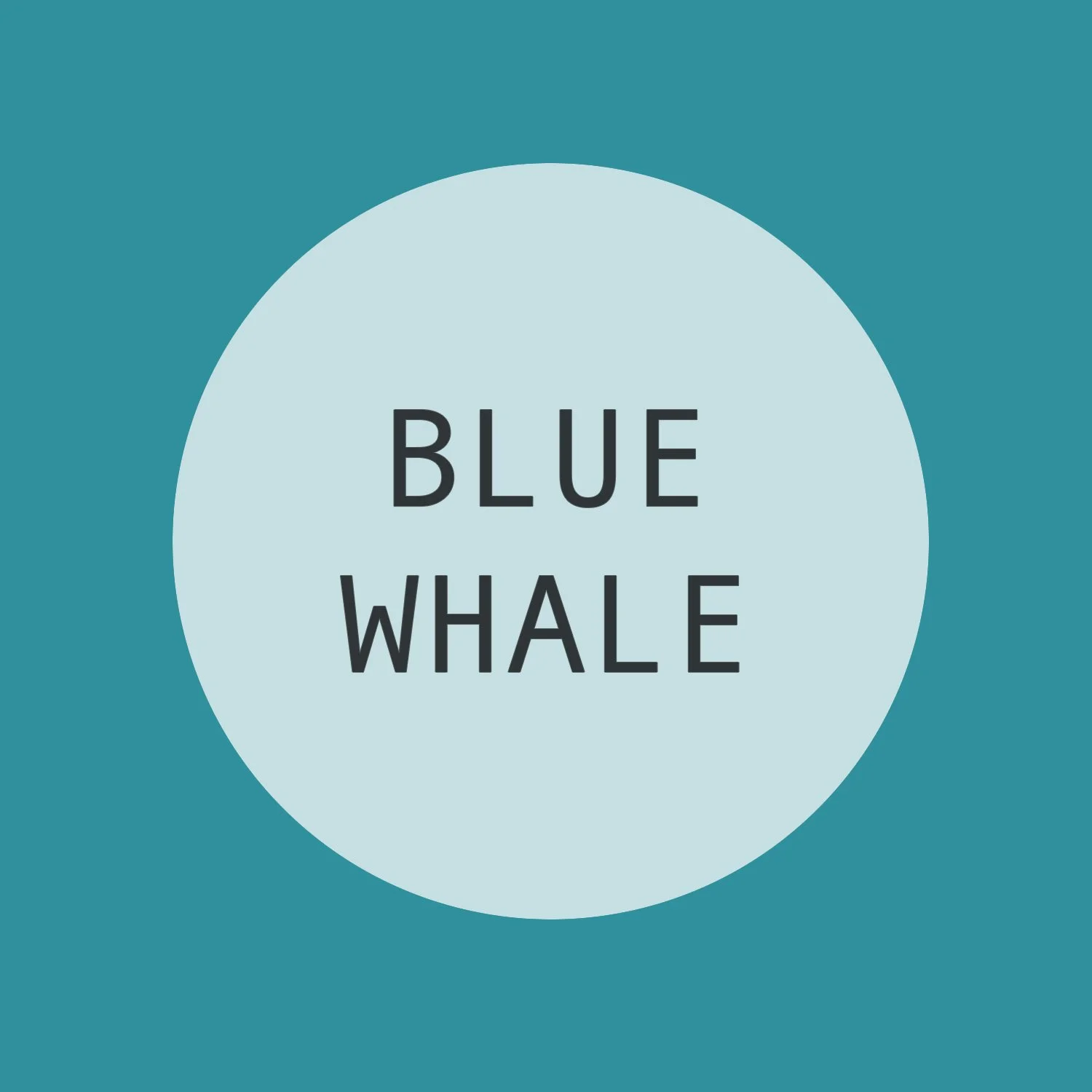 BLUE WHALE NEELDE FELTING WORKSHOP 1.jpg