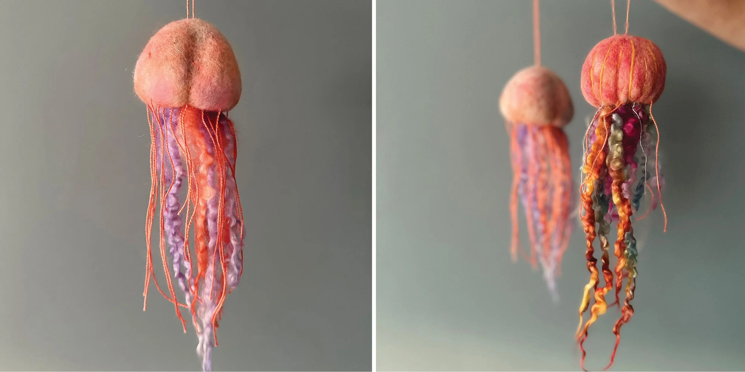 10 JELLYFISH.jpg
