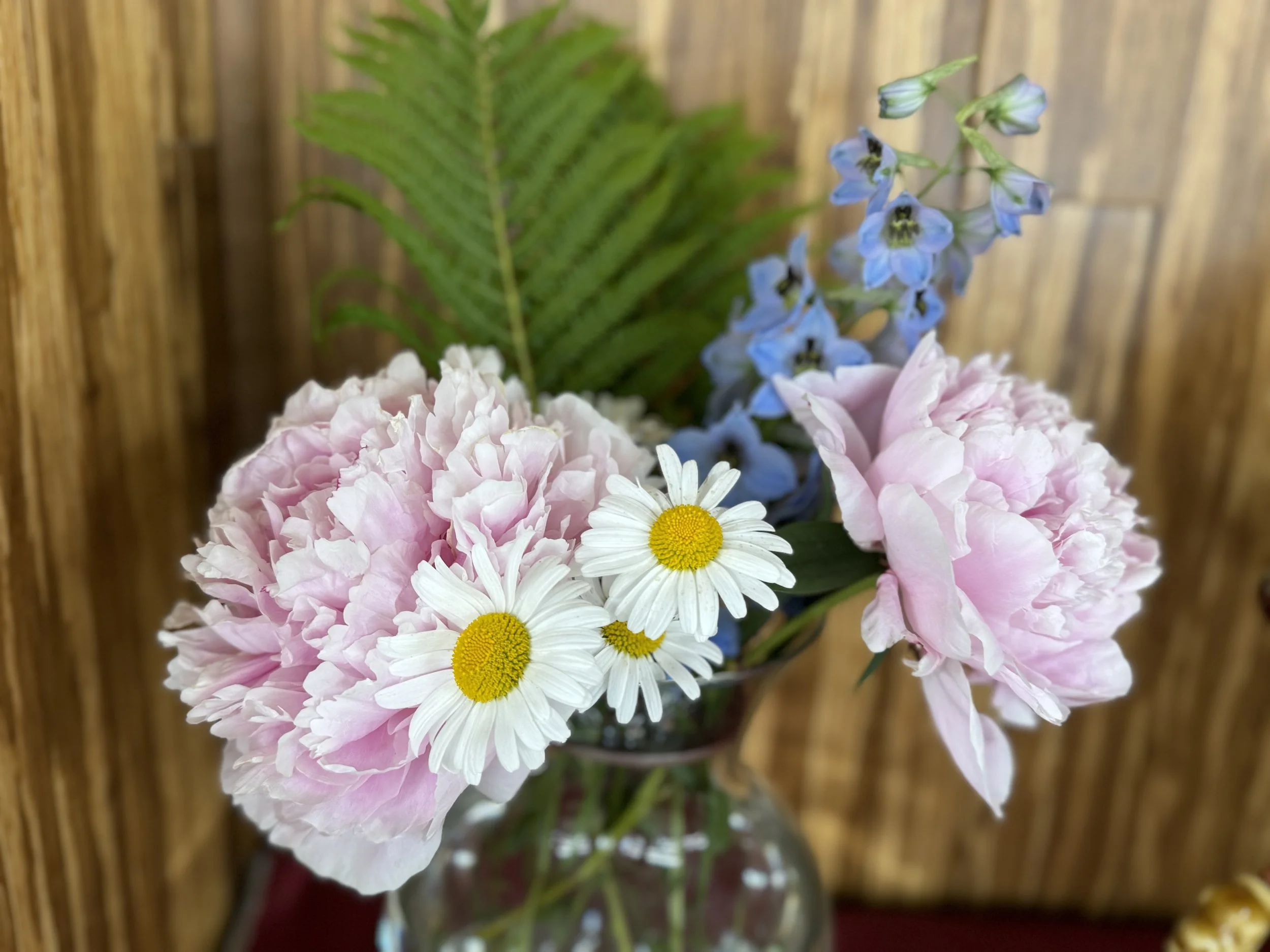 Take Ownership, Plant Daisies