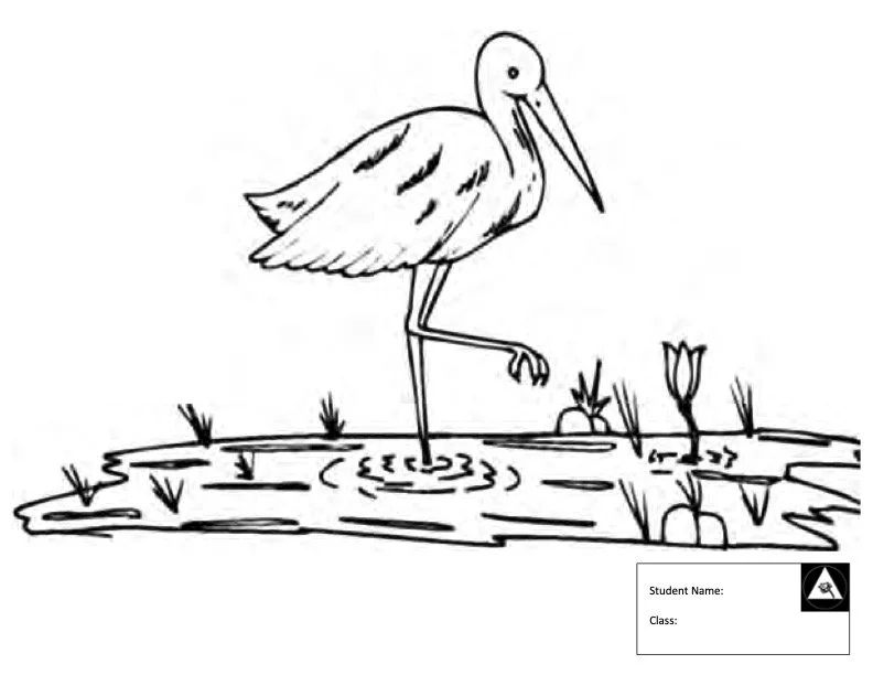 Crane Kid.jpg
