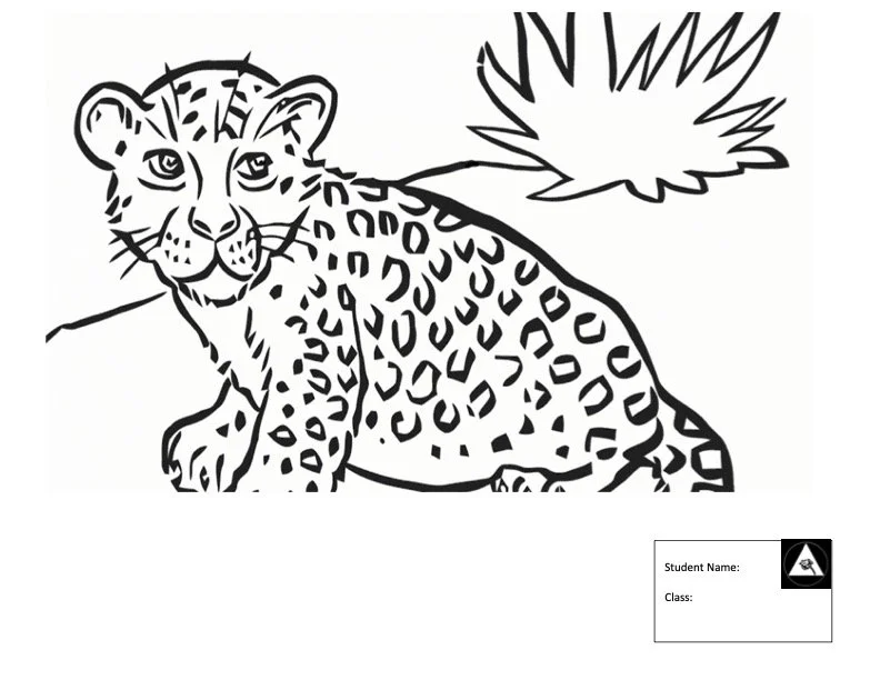 Leopard Kids.jpg