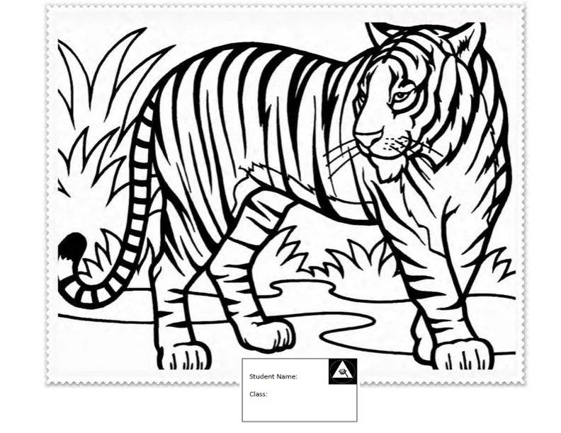 Tiger Kids.jpg