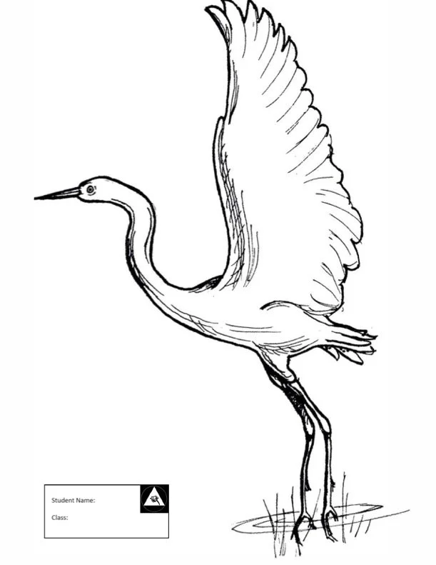 Crane2.jpg