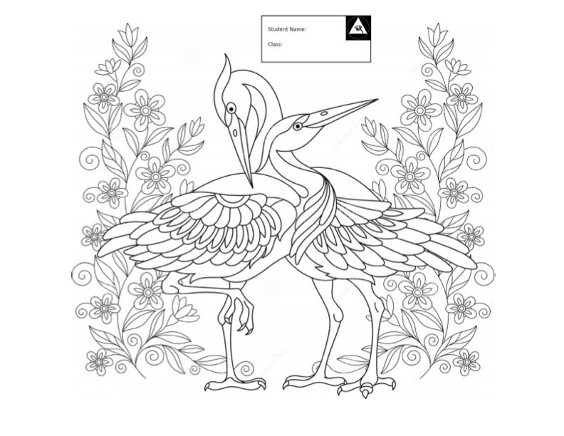 Crane3.jpg