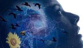 Evolution and Adjustment