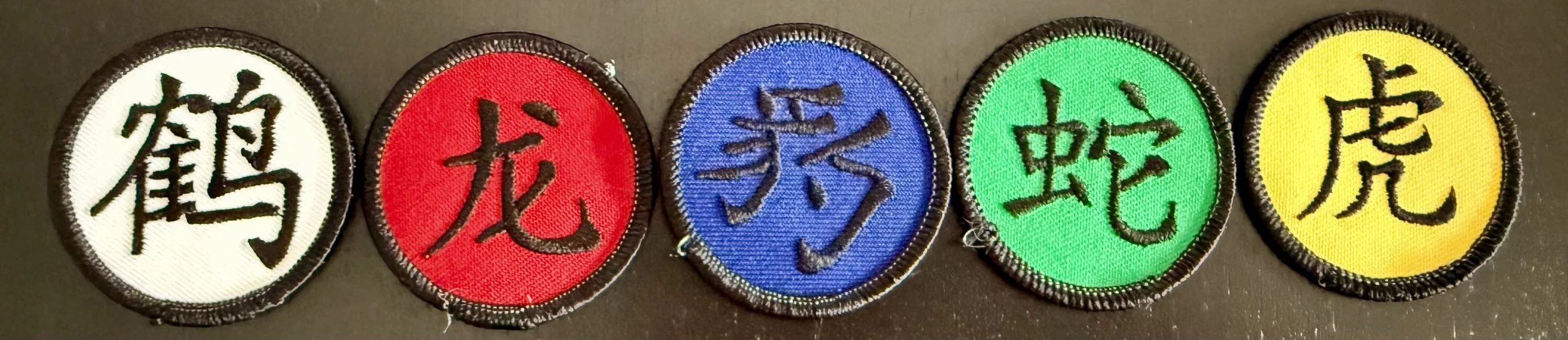 The Five Animals Teams- The Next Steps