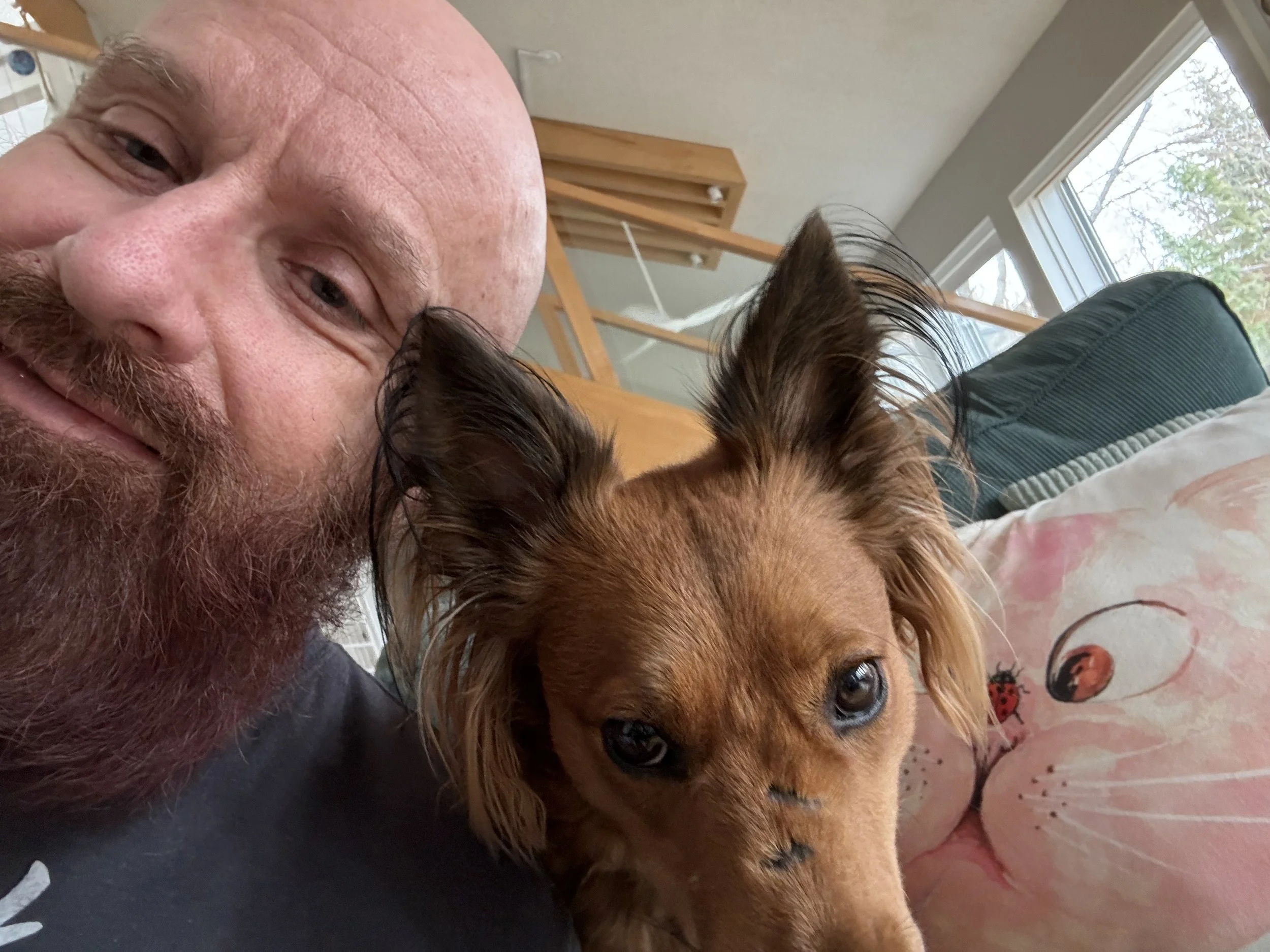 Journalling and Accountability