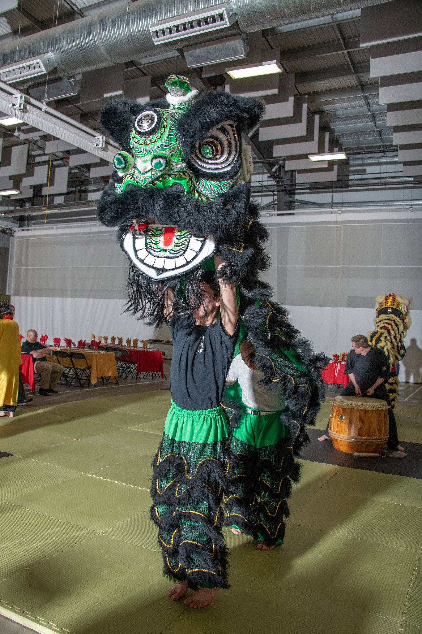 Zhang Fei IV - February 9, 2019 - Year of the Pig