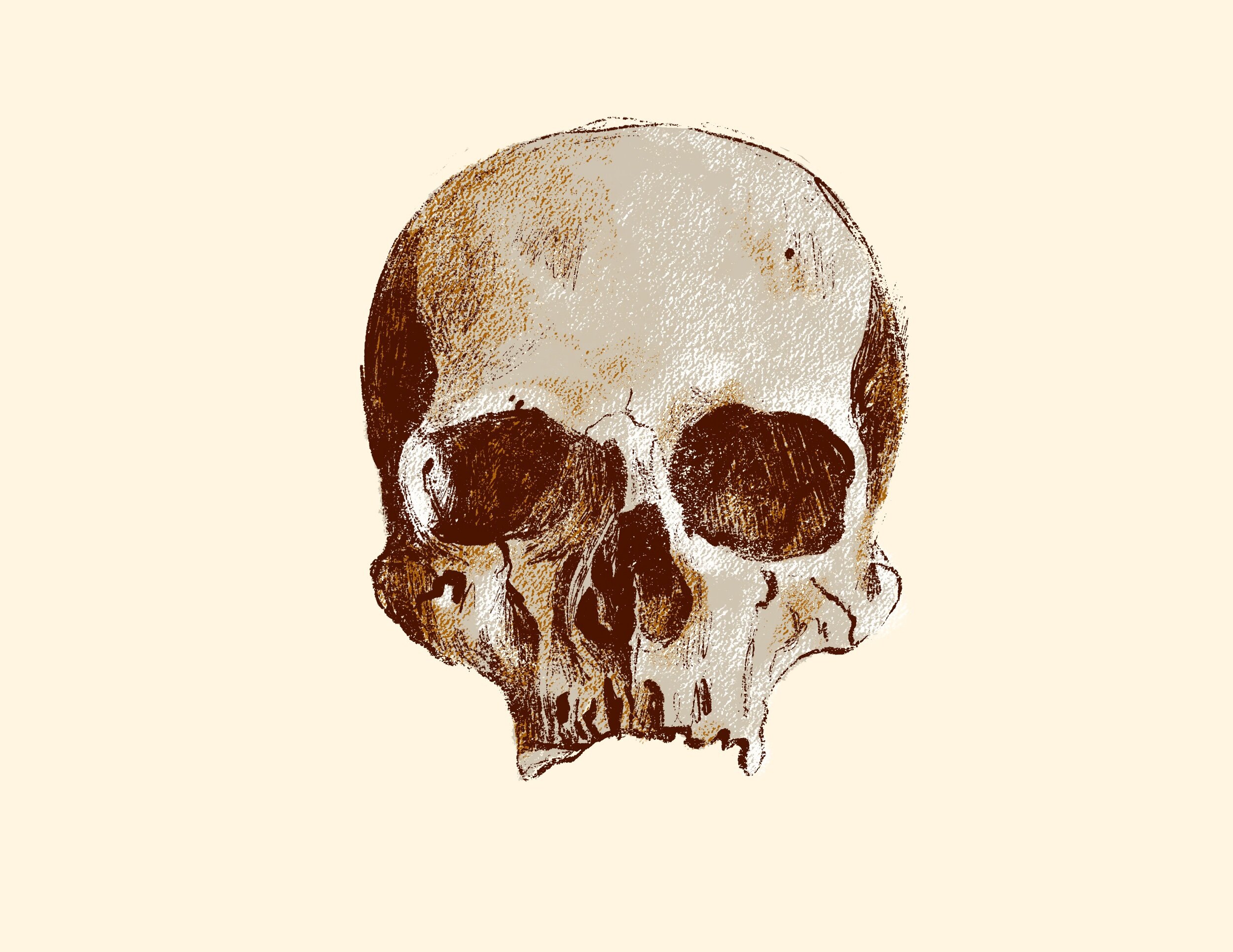 Renaissance skull.jpeg