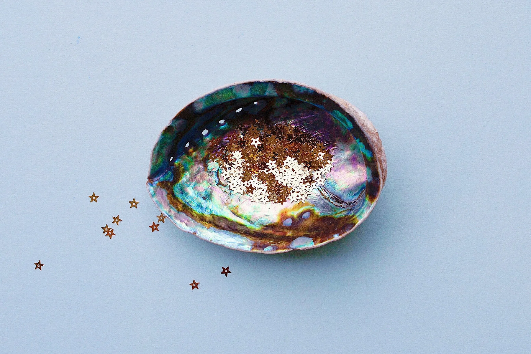 abalone shell postcard.jpg