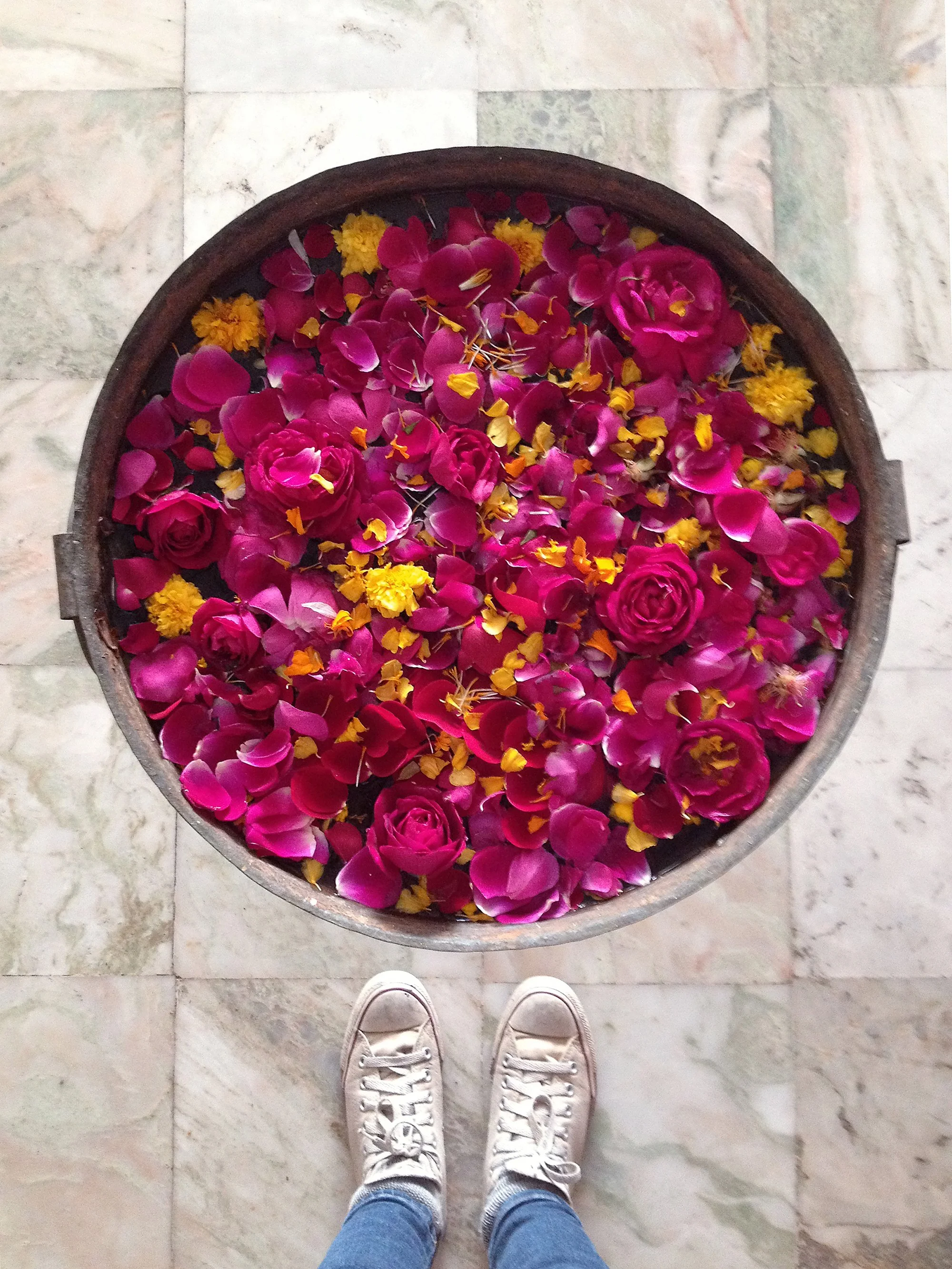 roses_in_india_web.jpg