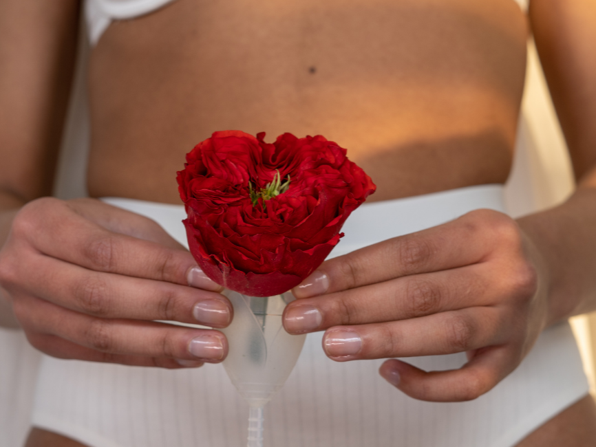 Hormone Harmony Programme