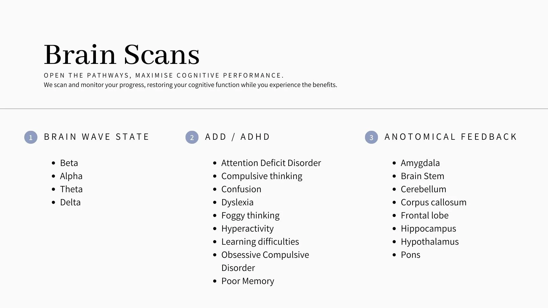 Wellness Scans Brain Scans