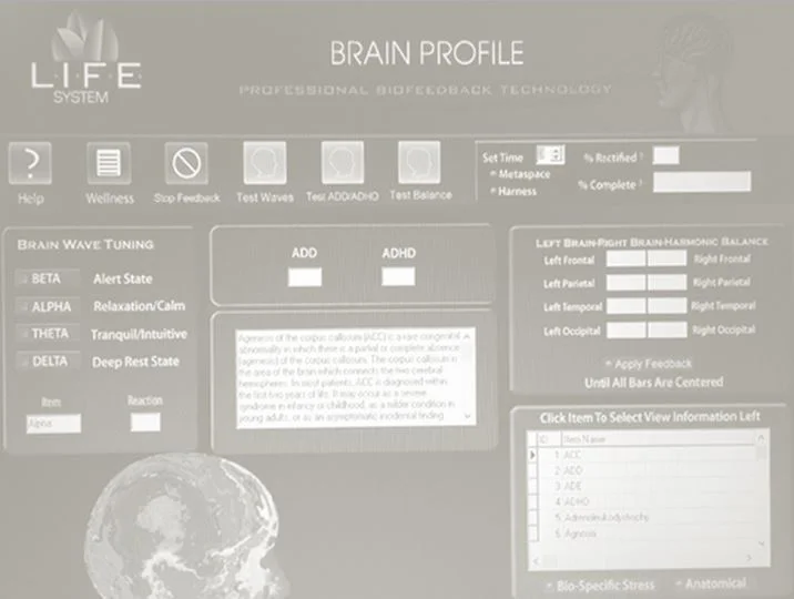 Brain Profile.JPG